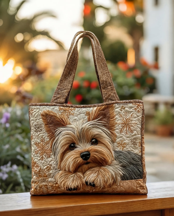 Brilliant Yorkie | Playful Elegance